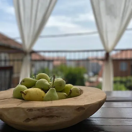 Apartment Vito Zadar