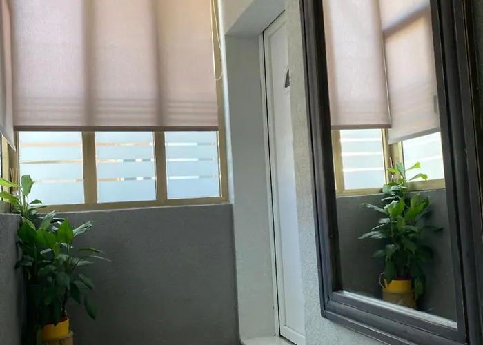 Apartment Vito Zadar