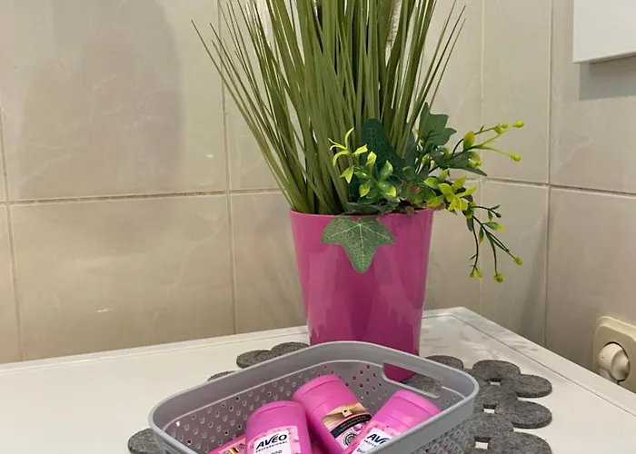 Apartment Vito Zadar